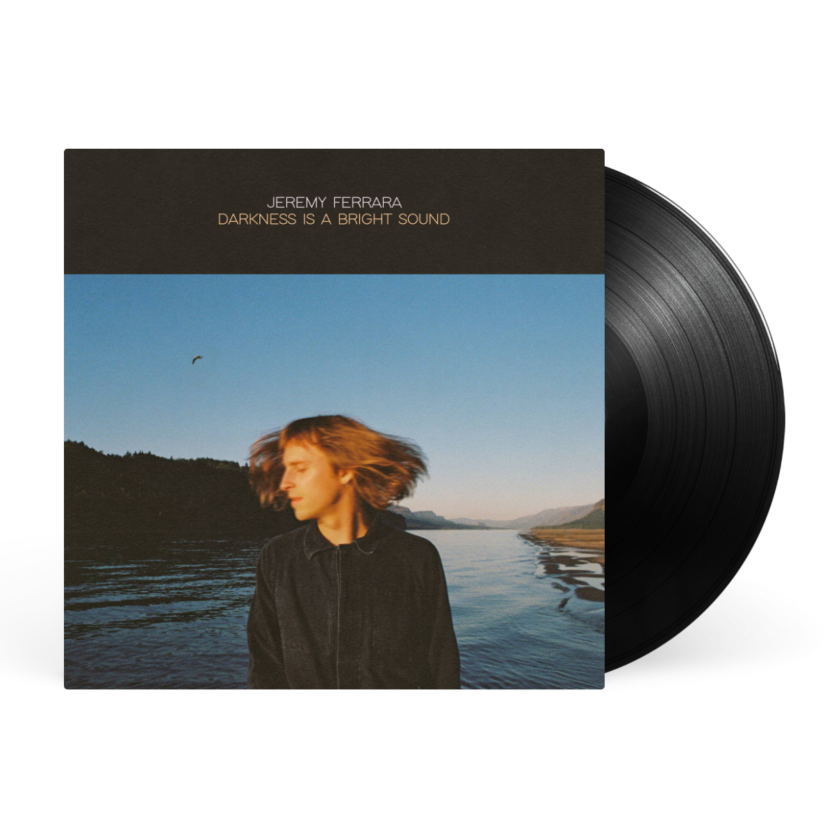 LP artwork