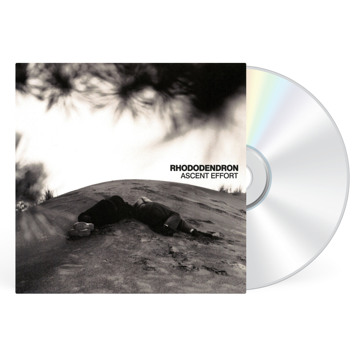 CD artwork