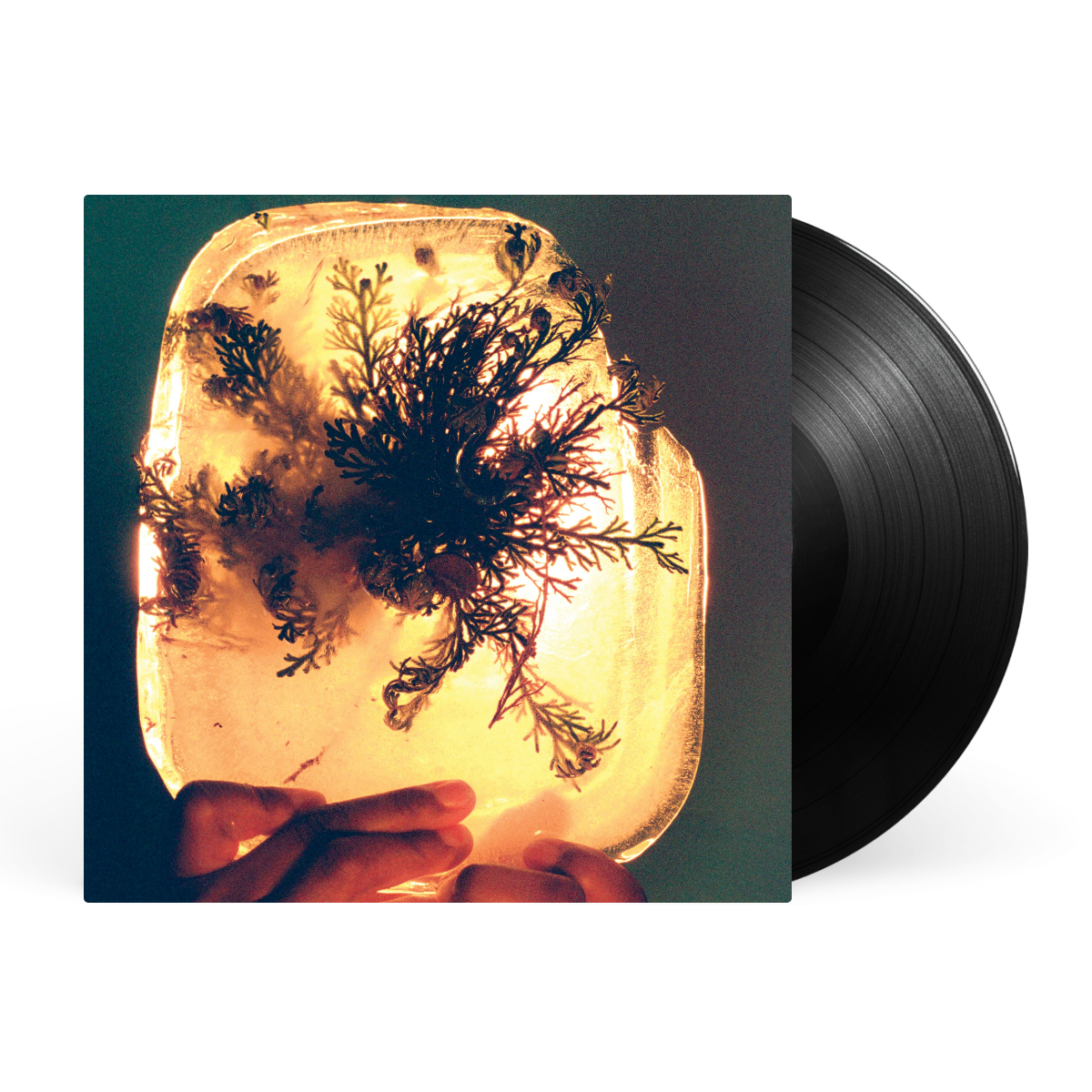 LP - Black artwork