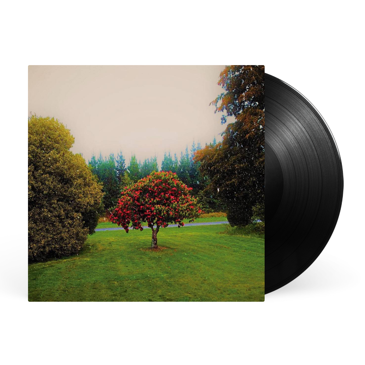 LP artwork