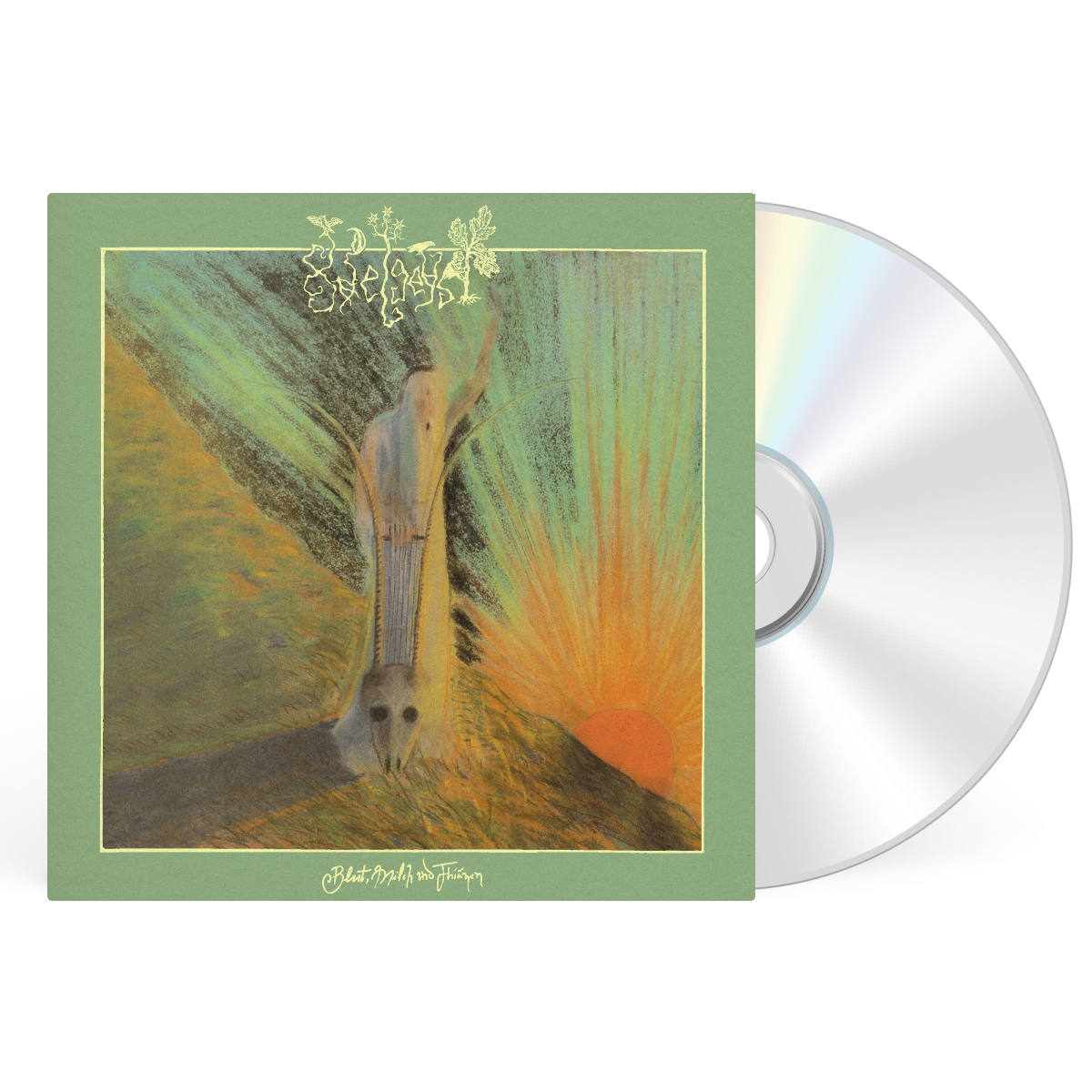 CD. artwork