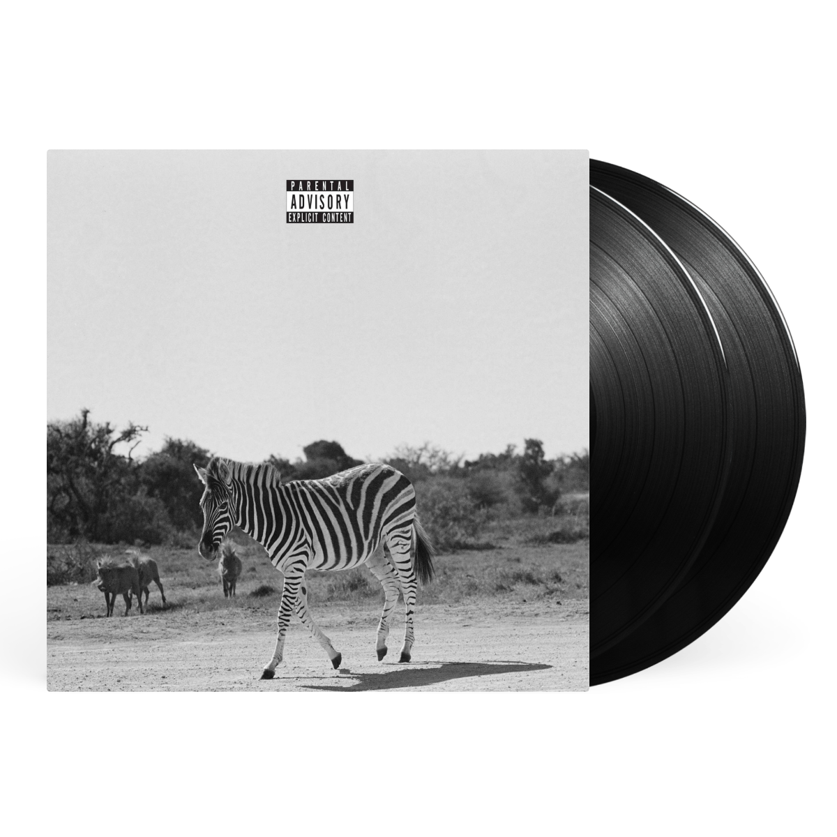 LP artwork