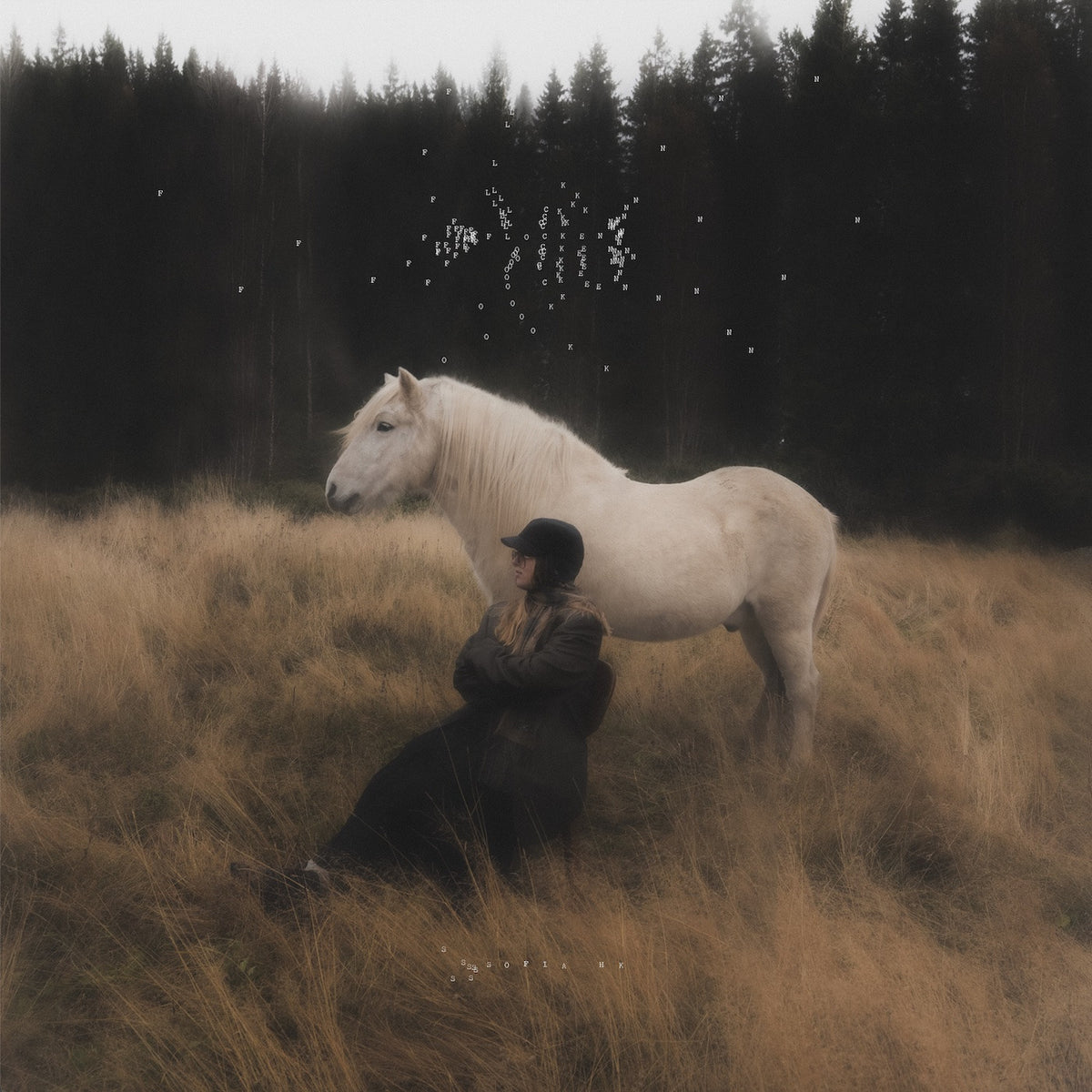 Sofia HK – Flocken album artwork