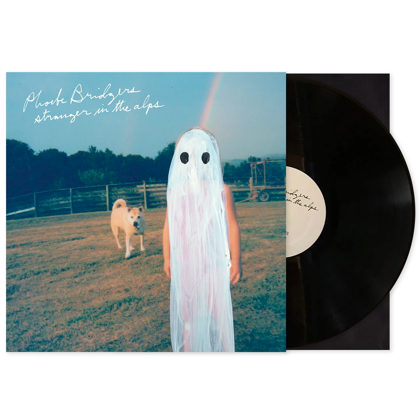 phoebe bridgers.png