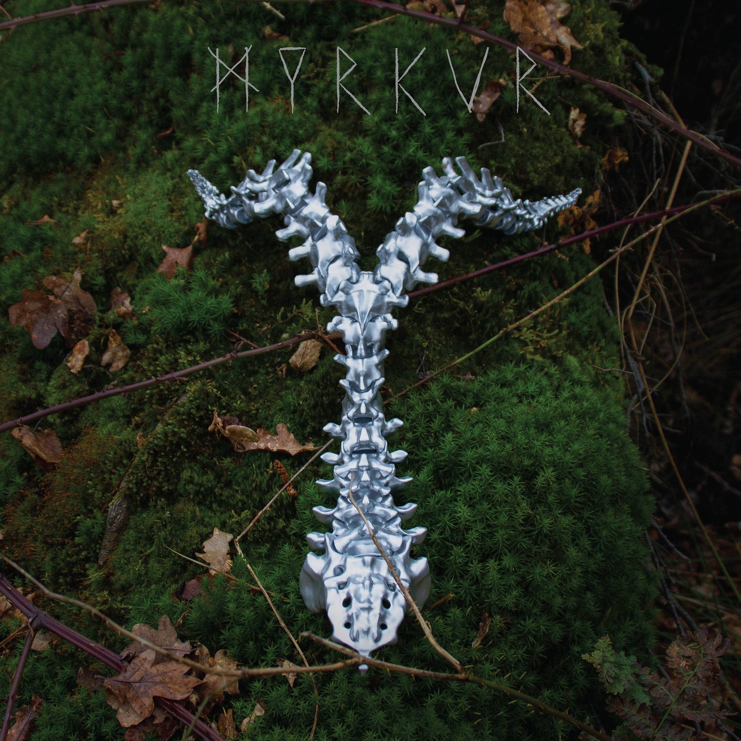Spine!