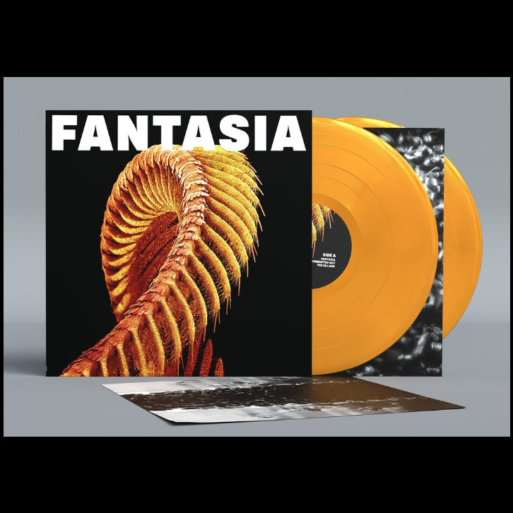 Fantasia