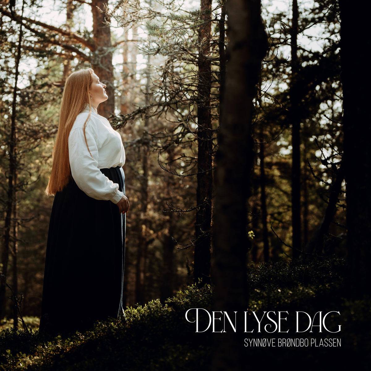 Den Lyse Dag