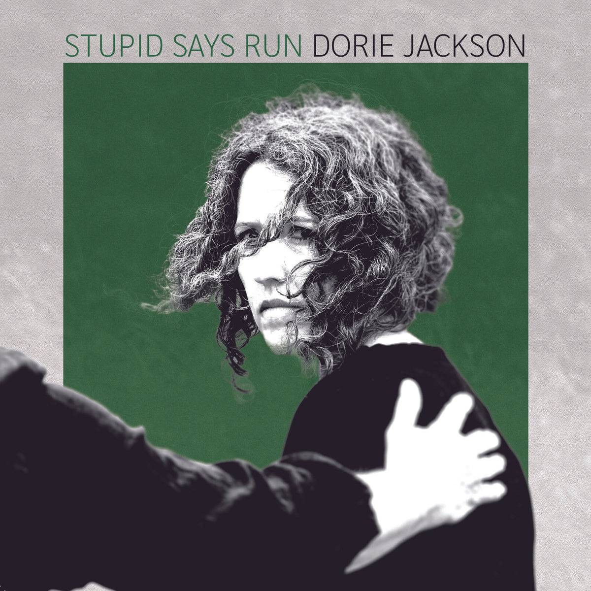 Stupid Says Run