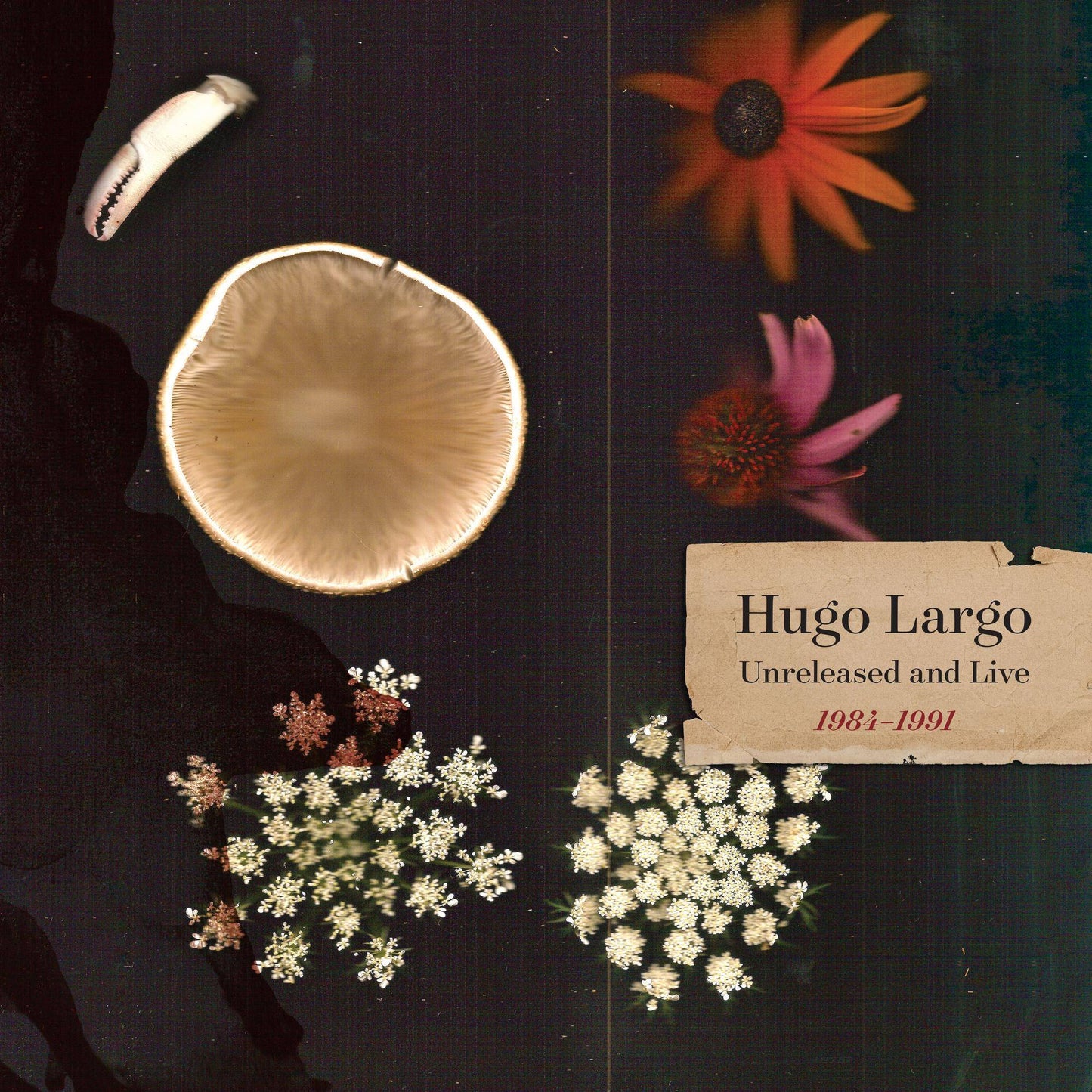 Huge, Large and Electric: Hugo Largo 1984-1991