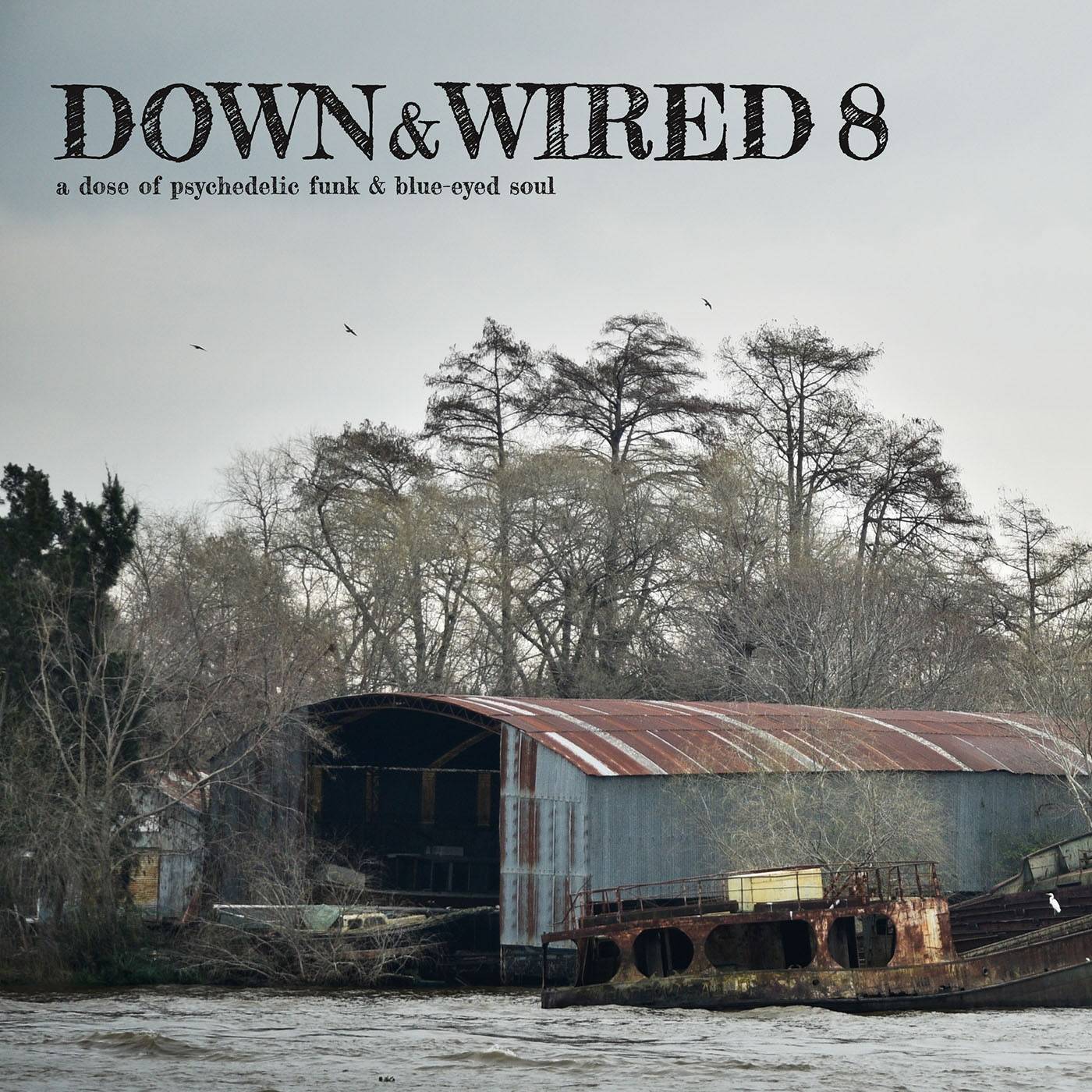 Down And Wired 8