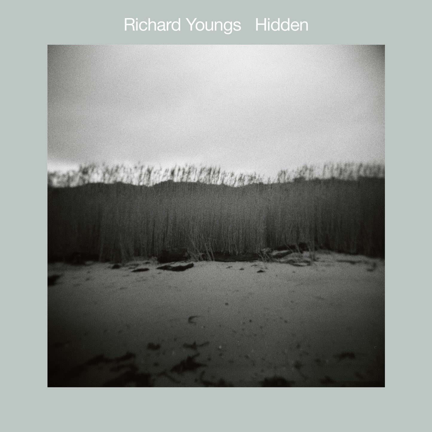 Hidden