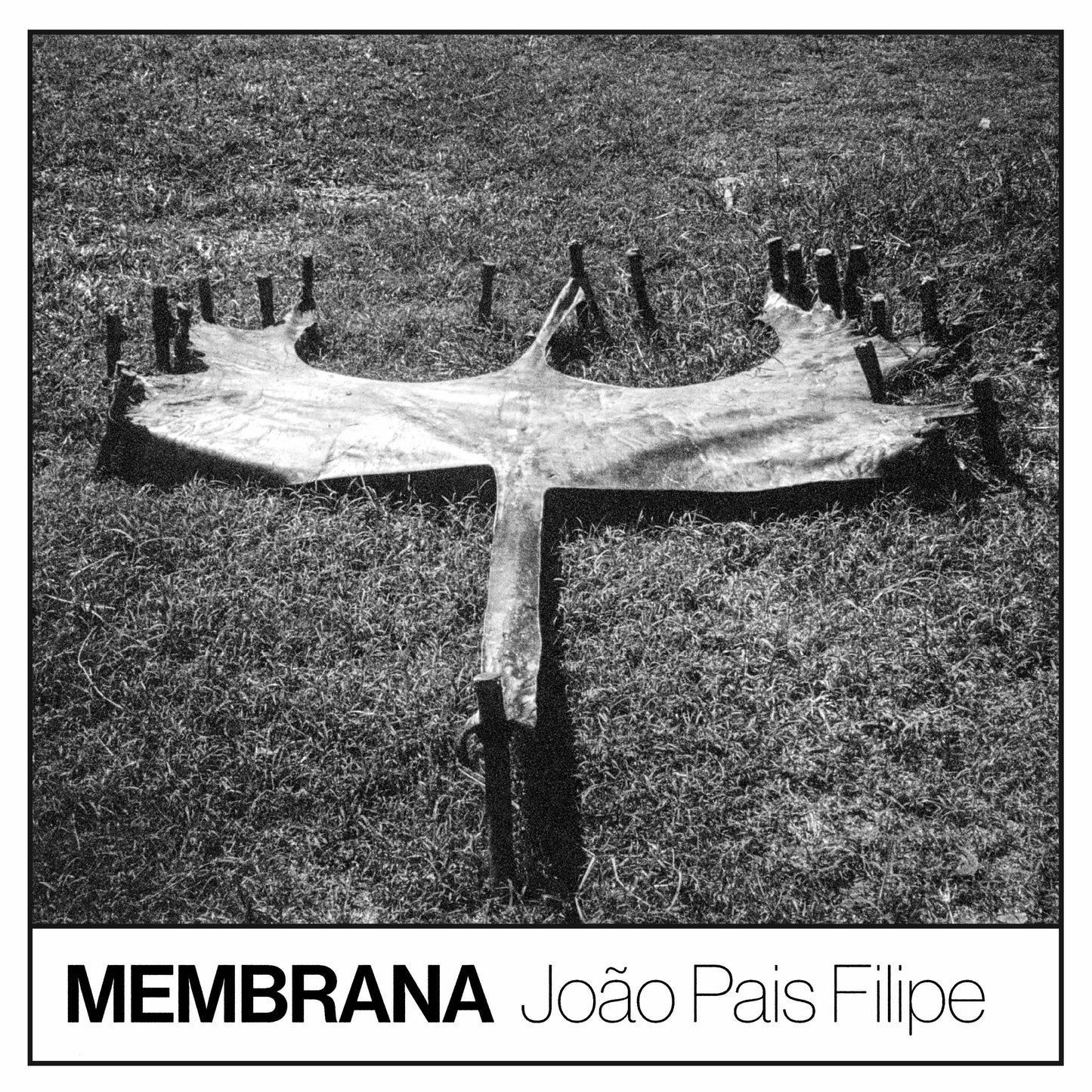Membrana