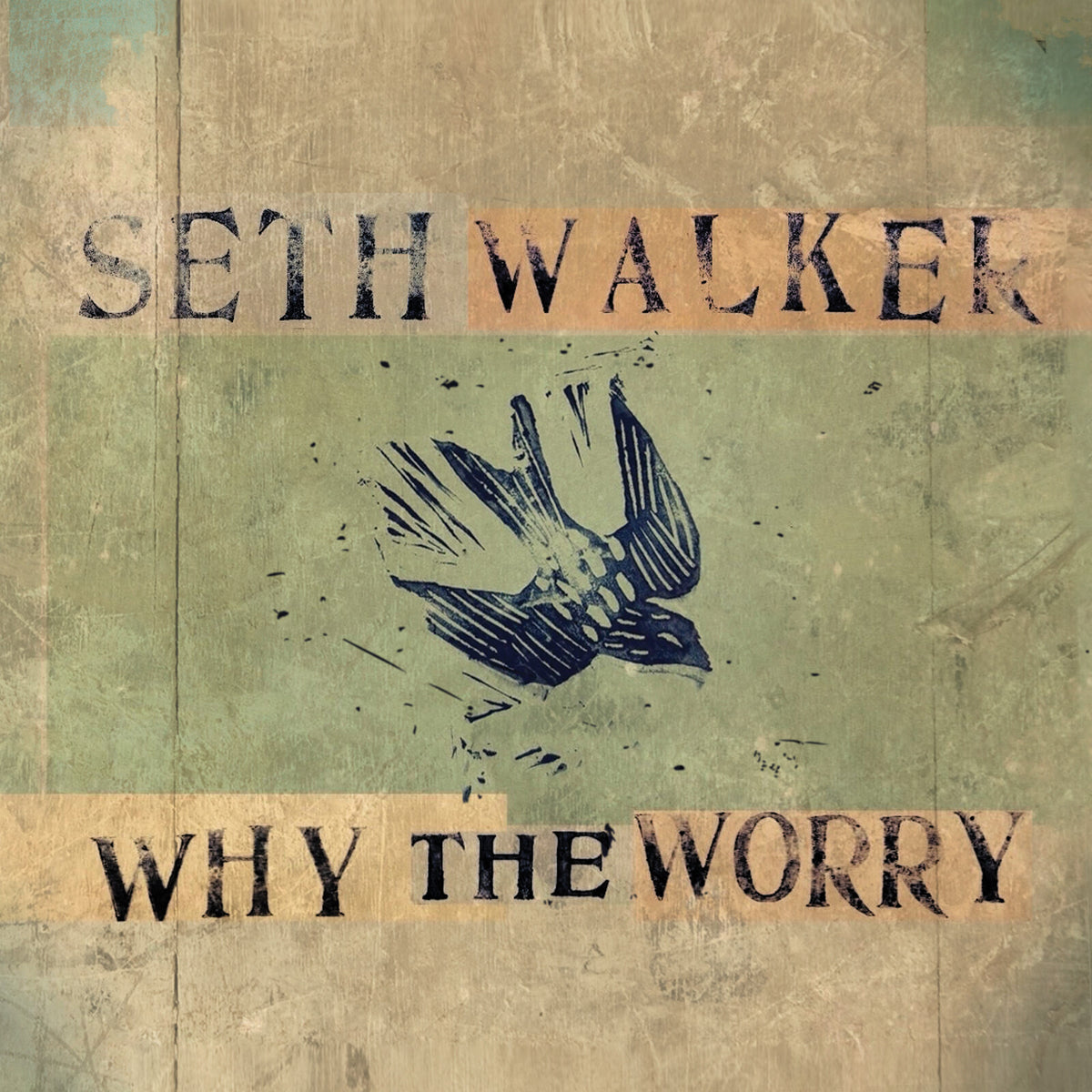 Seth Walker - Why The Worry Product Image