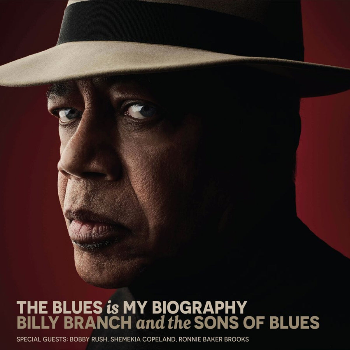 Billy Branch and the Sons of Blues - The Blues Is My Biography Product Image