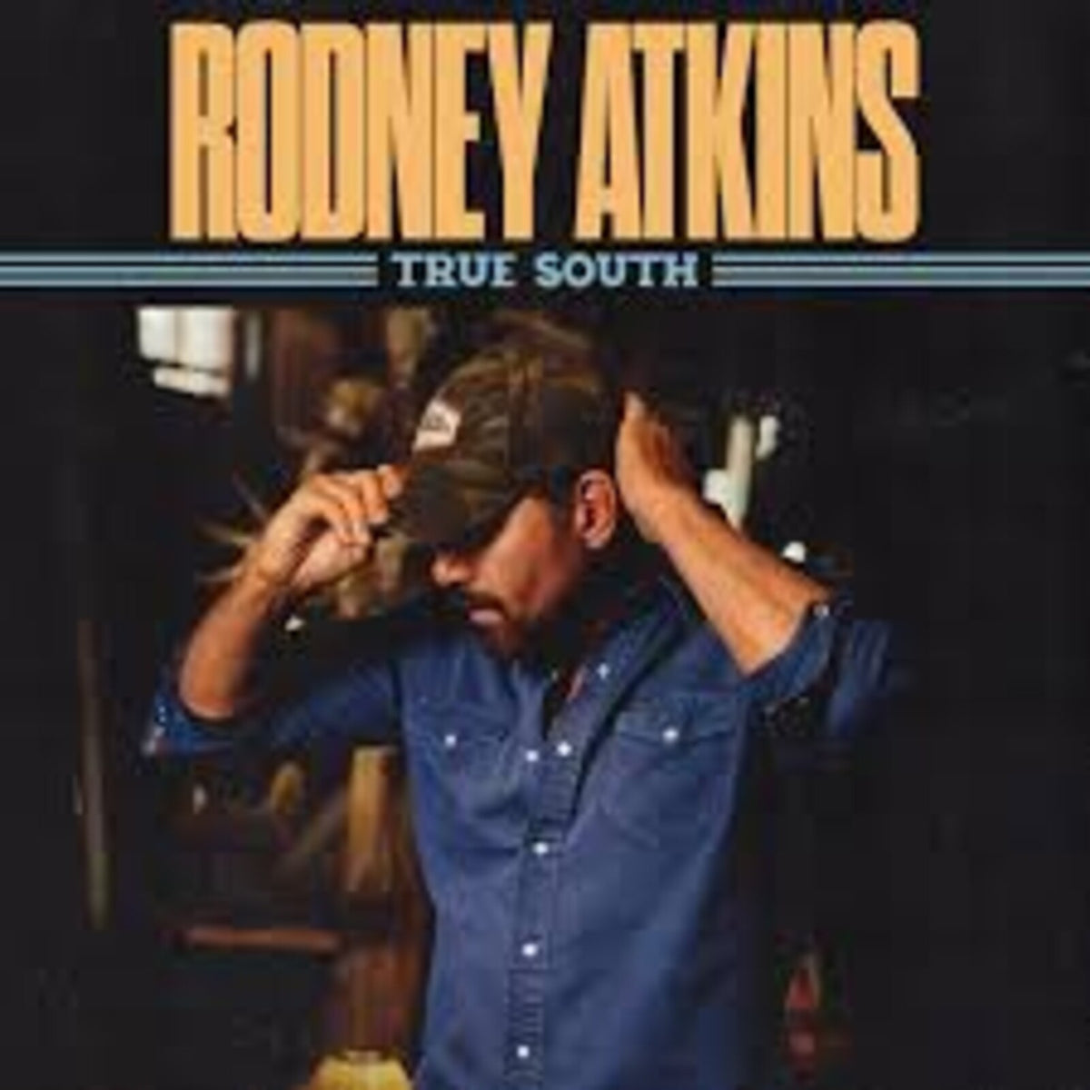 Rodney Atkins - True South Product Image