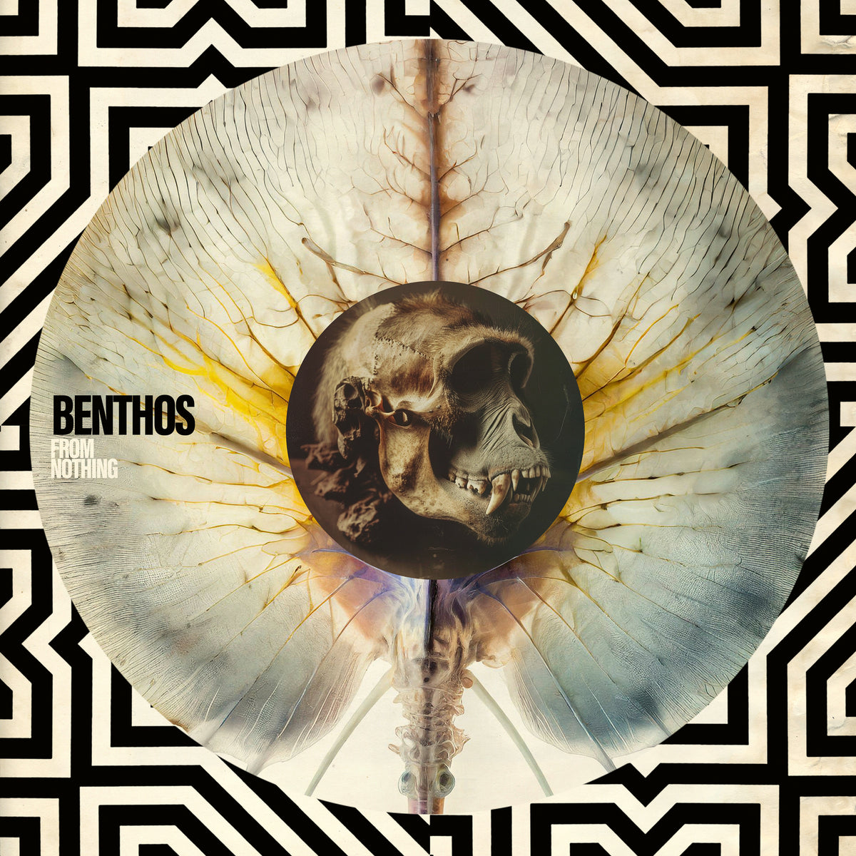 Benthos - From Nothing Product Image