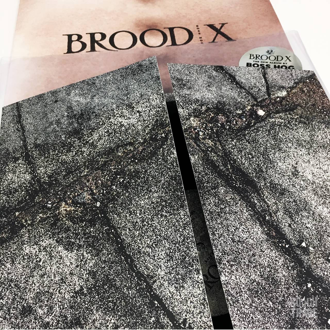 Brood X