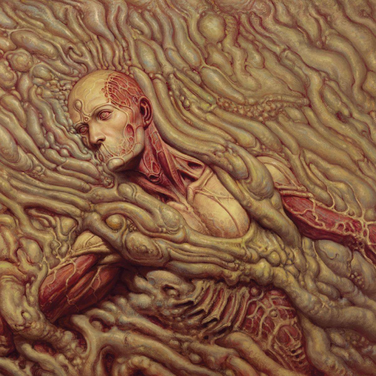 Scorn (Original Soundtrack)