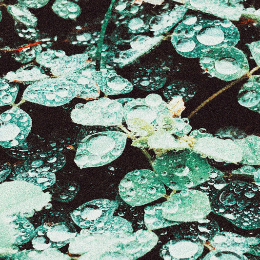 Sadness - Rain Chamber Product Image