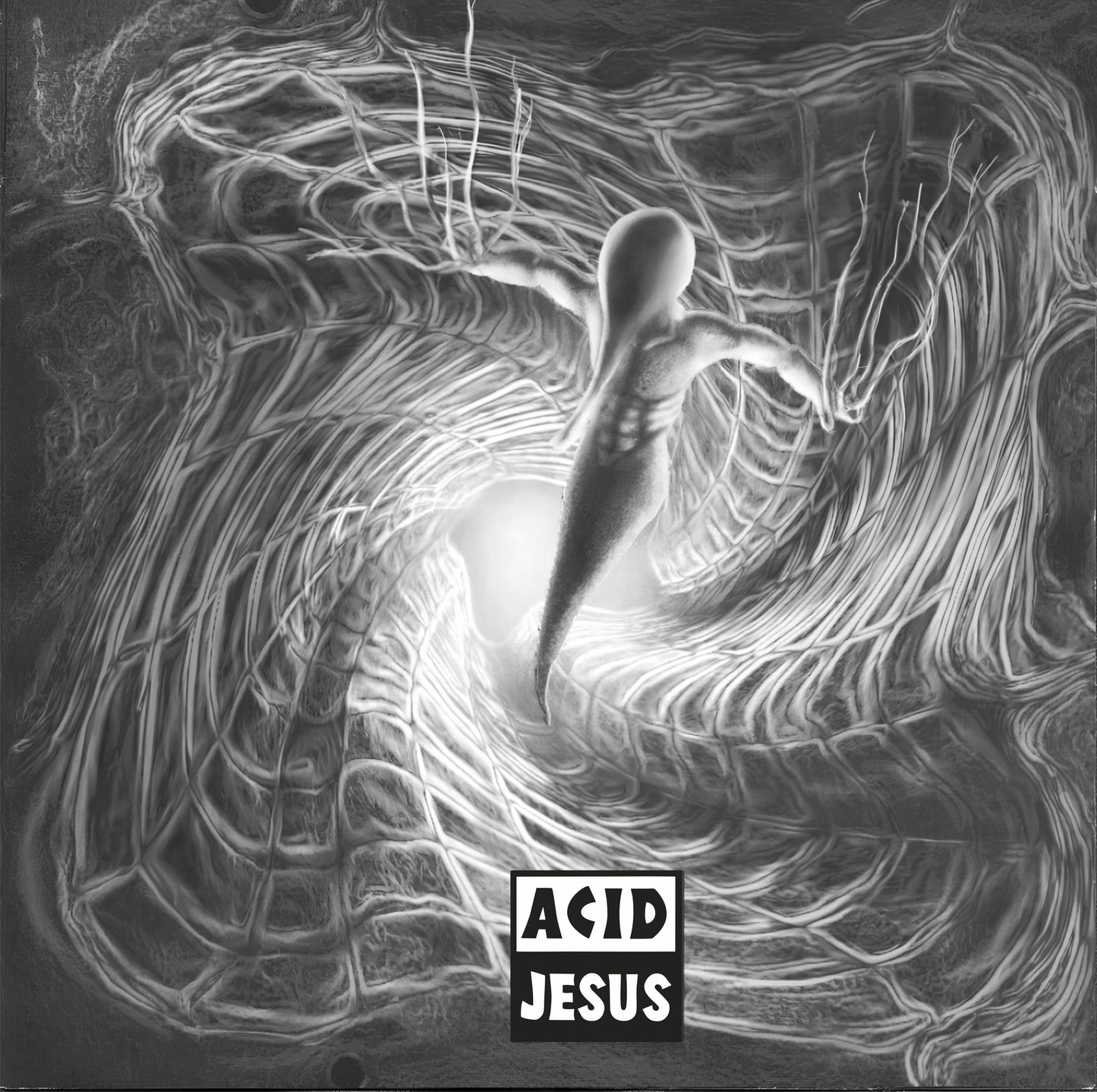 Acid Jesus