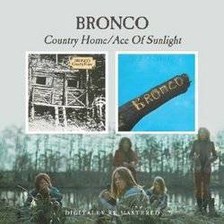 Country Home / Ace Of Sunlight