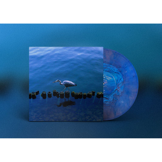 Various - More Friends Than Fans Product Image