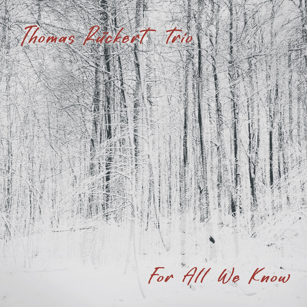 Thomas Ruckert Trio - For All We Know Product Image