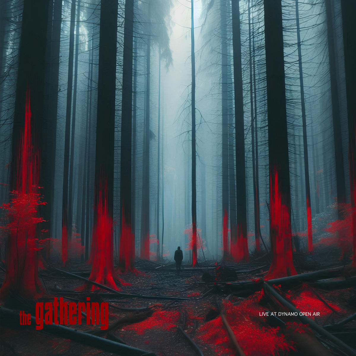 The Gathering - Live at Dynamo Open Air Product Image