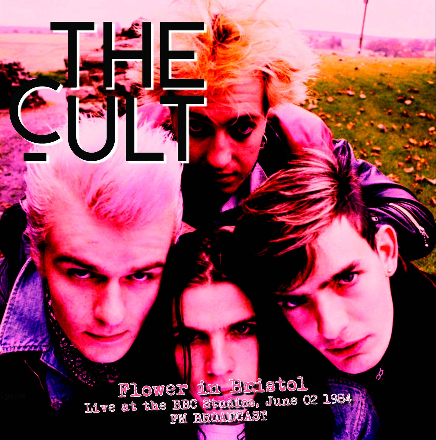 Flower In Bristol - 2 June 1984  FM Broadcast