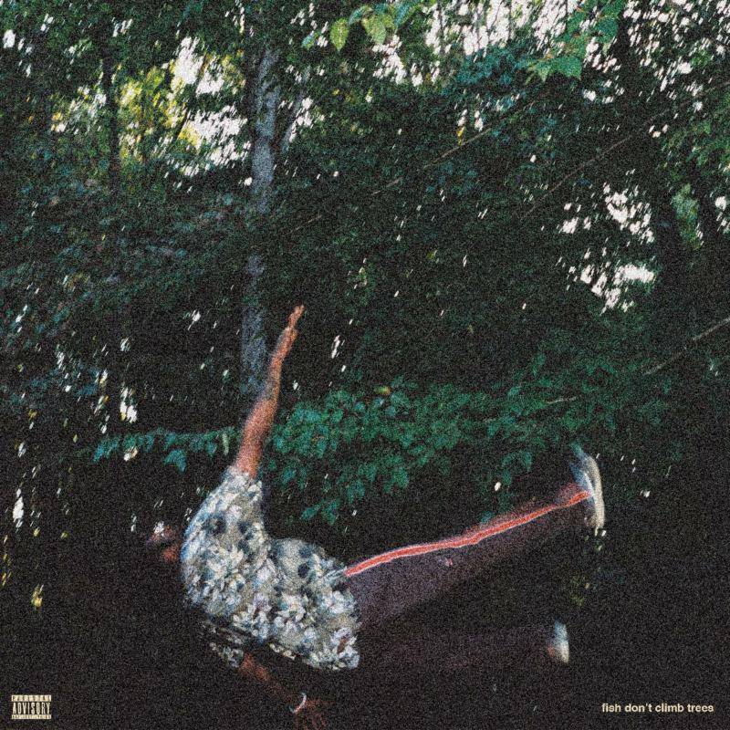 fish don't climb trees