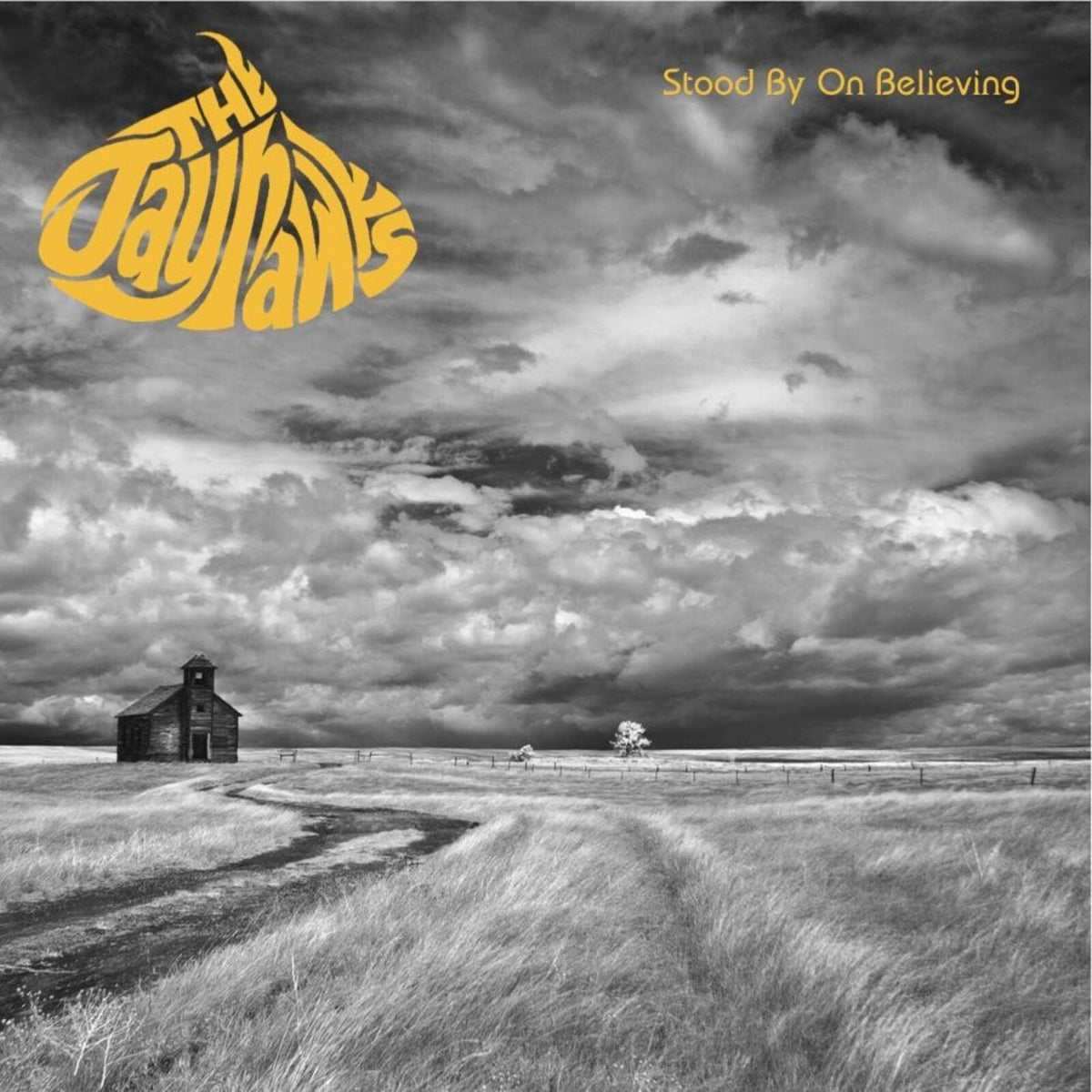 The Jayhawks - Stood By On Believing - The Classic Broadcasts 89-95 Product Image