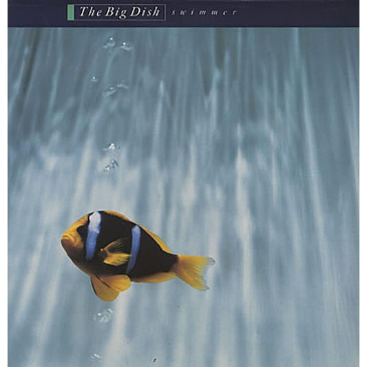Swimmer (40th Anniversary)