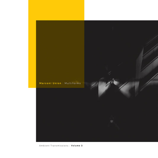 Multiforms: Ambient Transmissions Vol. 3