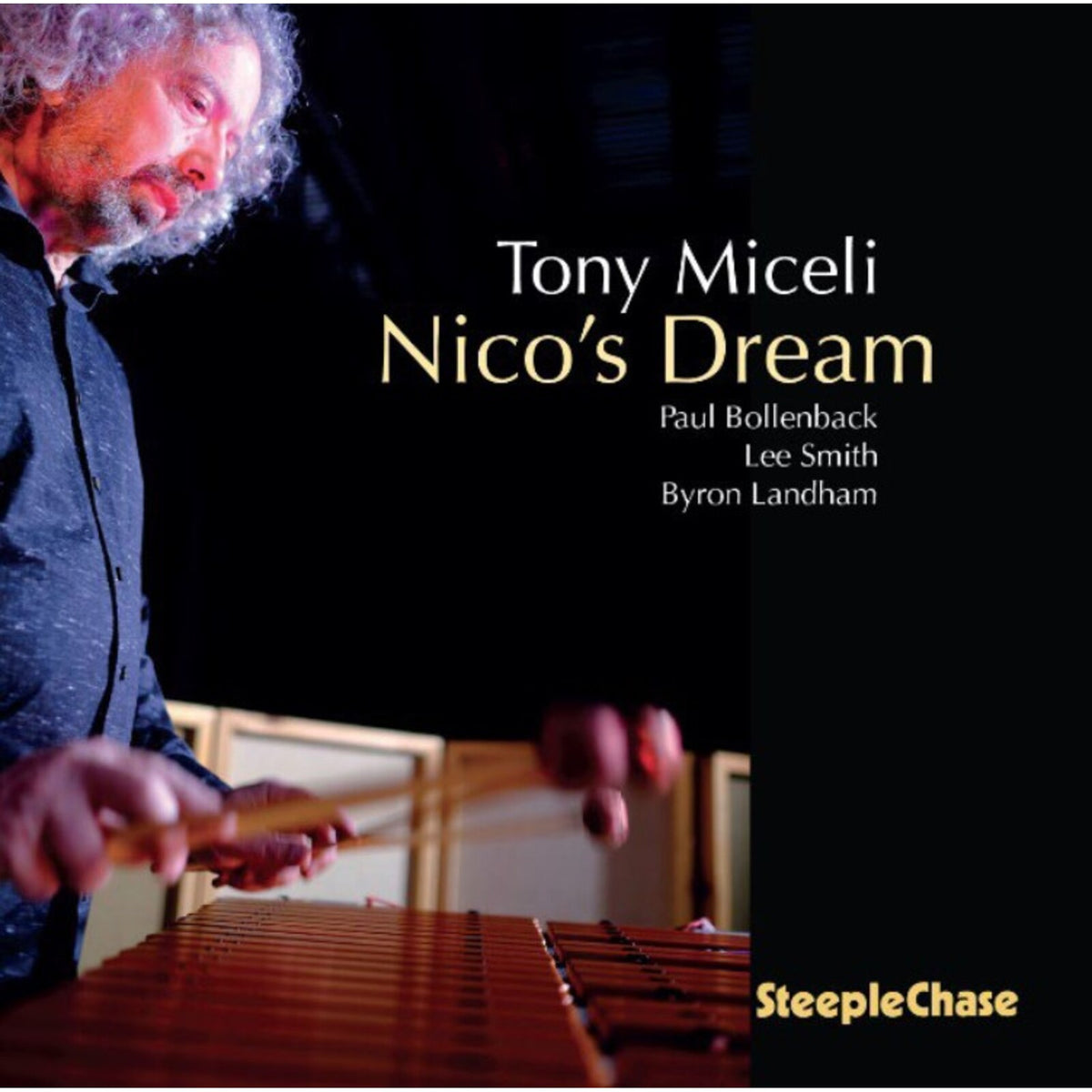 Tony Miceli - Nico's Dream Product Image