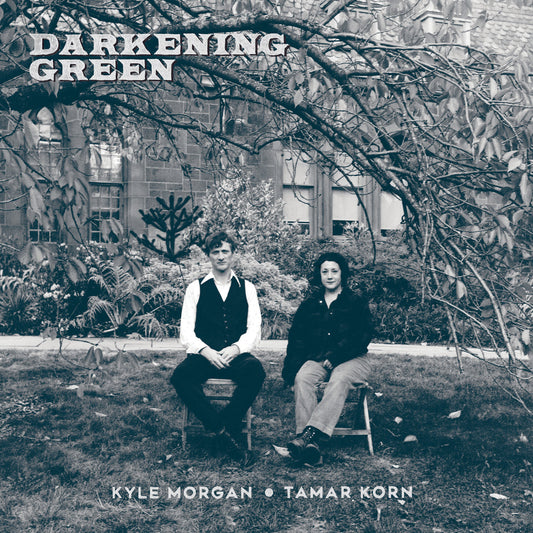 Kyle Morgan and Tamar Korn - Darkening Green Product Image