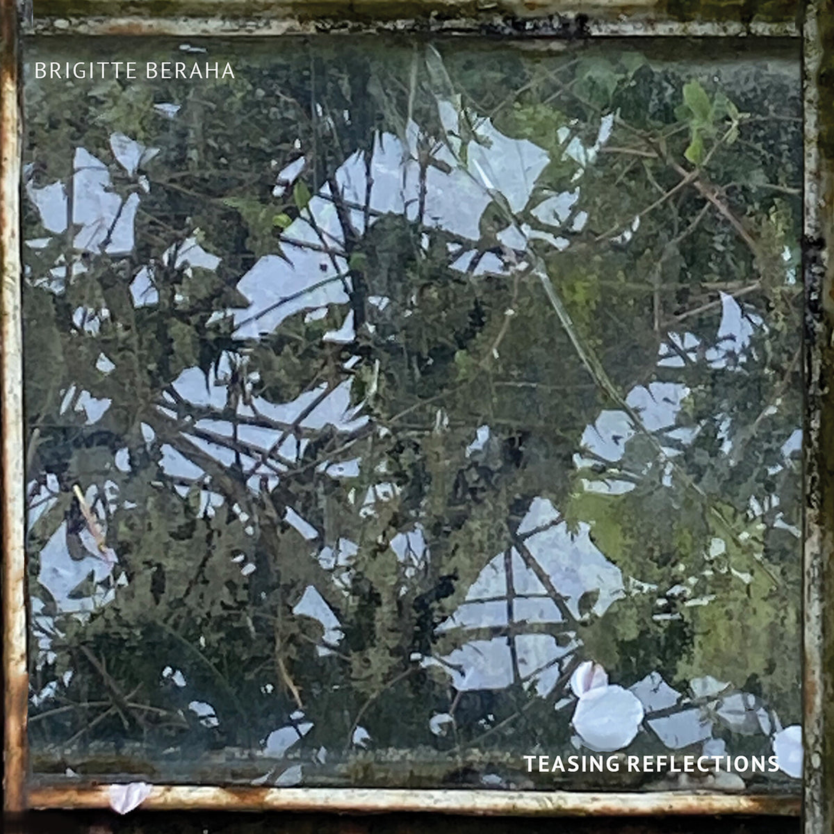 Brigitte Beraha - Teasing Reflections Product Image