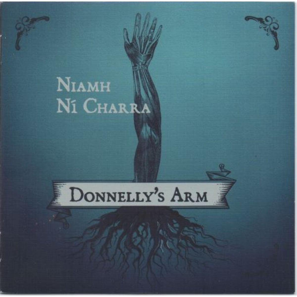 Niamh Ni Charra - Donnelly's Arm Product Image