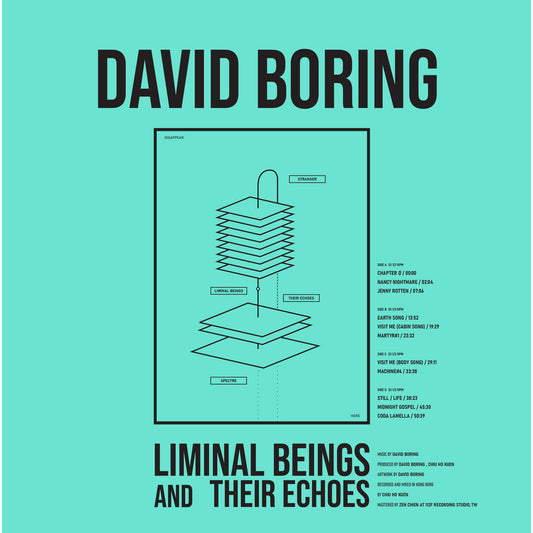 David Boring - Liminal Beings and Their Echoes Product Image