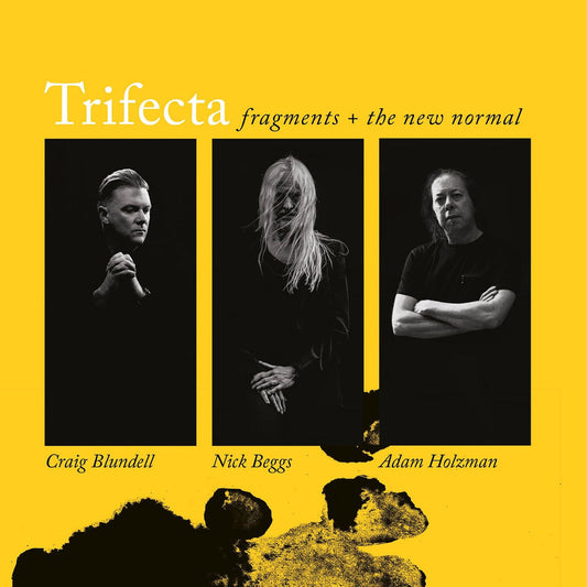 Trifecta - Fragments and The New Normal Product Image