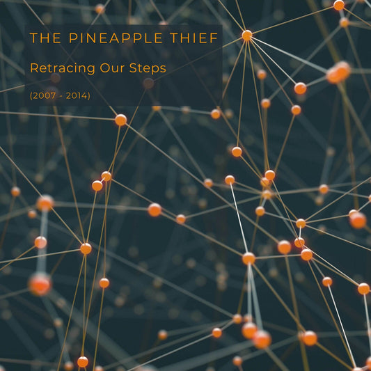 The Pineapple Thief - Retracing Our Steps Product Image