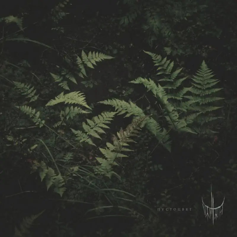 Pustotsvet (Voidflower)