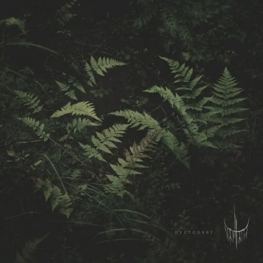 Pustotsvet (Voidflower)