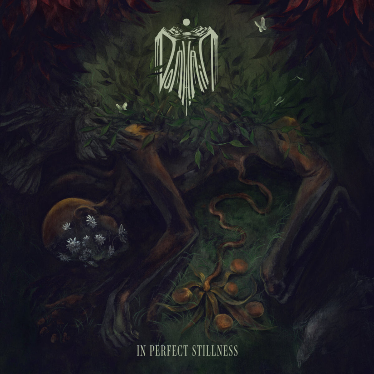 Domhain - In Perfect Stillness Product Image