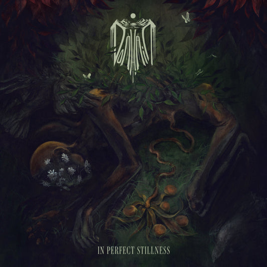 Domhain - In Perfect Stillness Product Image