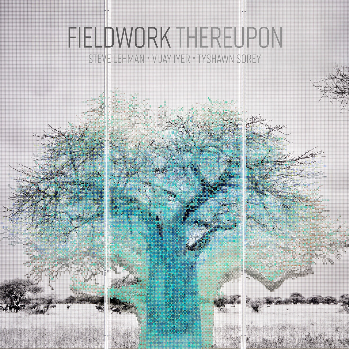 Fieldwork - Thereupon Product Image