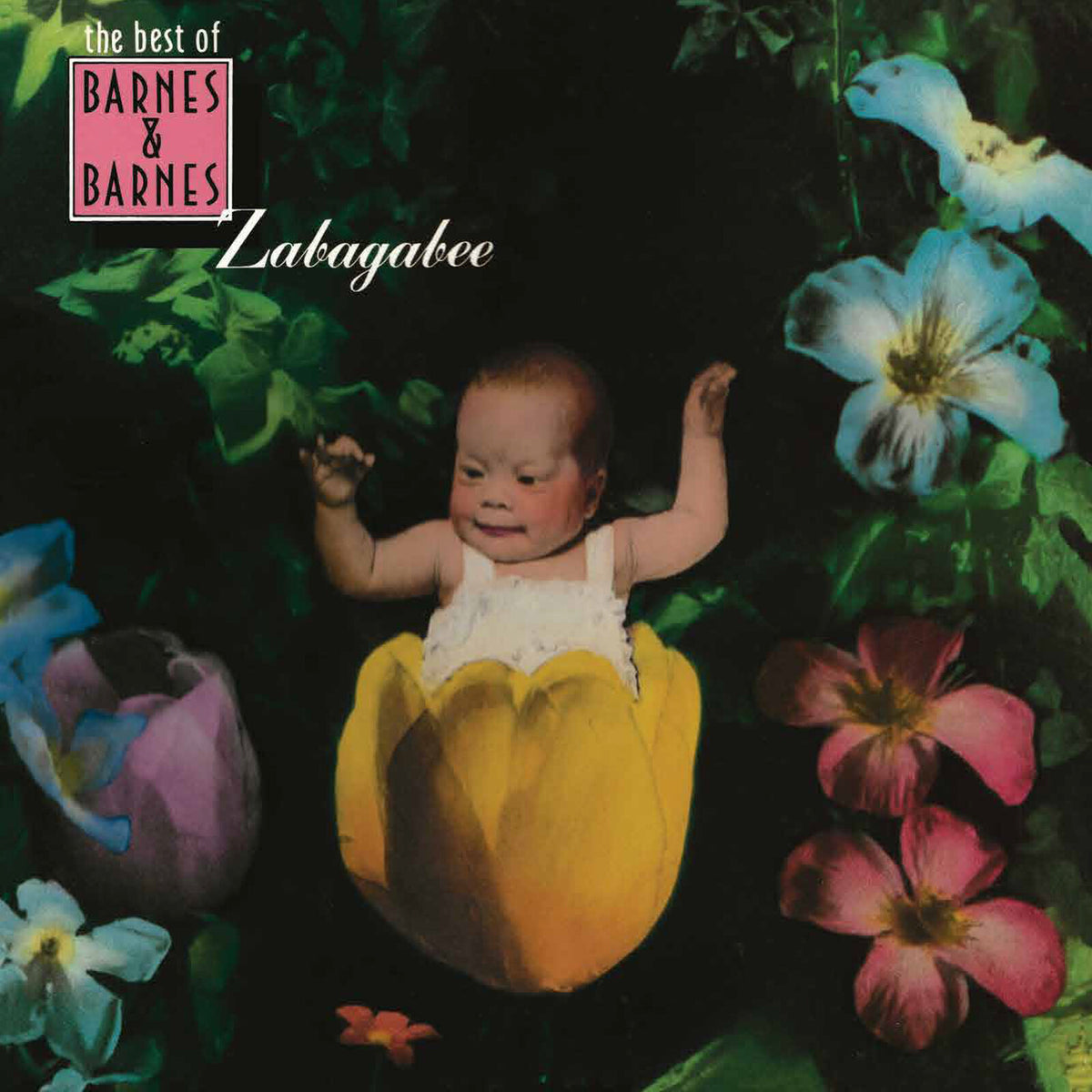 Barnes and Barnes - Zabagabee: The Best Of Barnes and Barnes Product Image