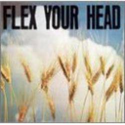 Flex Your Head