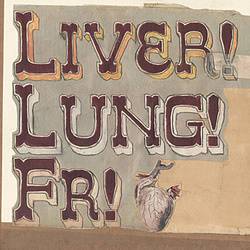 Quietly Now! Midnight Organ Fight Live and Acoustic At The Captain's Rest