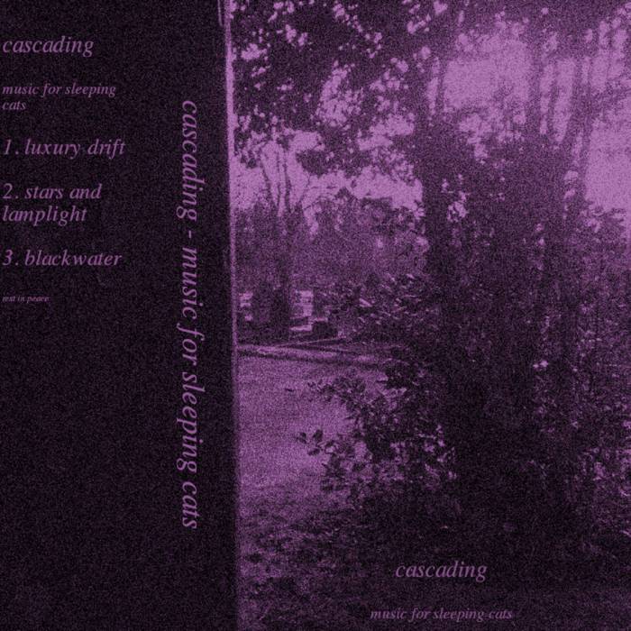 Music For Sleeping Cats