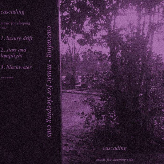 Music For Sleeping Cats